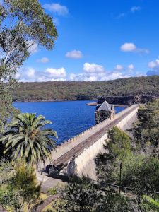 Read more about the article 12 Oct 2024: Hosting the Sydney Branches Ride