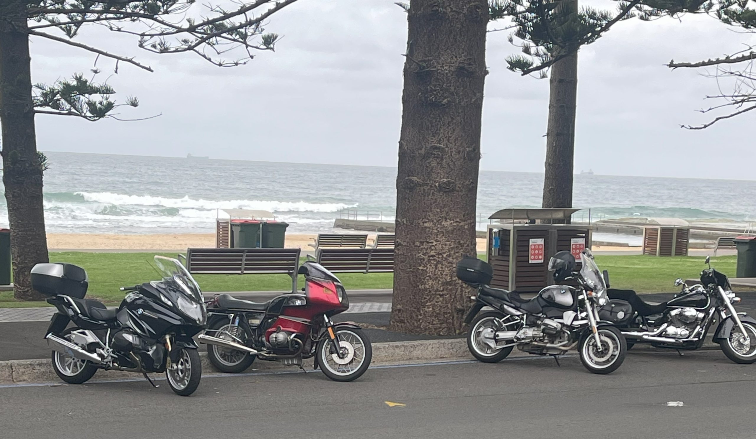 You are currently viewing 11th November 2024: Austinmer Beach